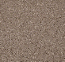 Ковролин Shaw Design Texture Platinum 740 фото 1 | FLOORDEALER