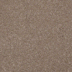 Ковролин Shaw Design Texture Platinum 740 фото 1 | FLOORDEALER