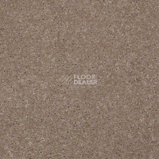Ковролин Shaw Design Texture Platinum 740 фото 1 | FLOORDEALER