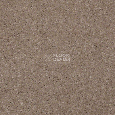 Ковролин Shaw Design Texture Platinum 740 фото 1 | FLOORDEALER