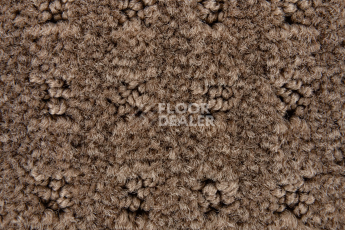 Balsan Territoires Atrium 661 фото 4 | FLOORDEALER