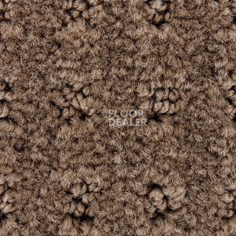 Balsan Territoires Atrium 661 фото 4 | FLOORDEALER
