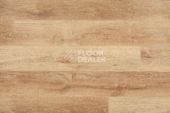 Кварцвиниловые полы Aquafloor Real Wood Glue AF6034 фото 1 | FLOORDEALER