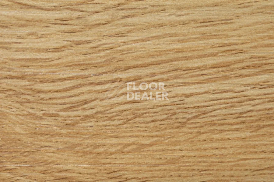 Виниловая плитка ПВХ Vertigo Trend / Wood 2113 Natural Oak 152.4 мм X 914.4 фото 1 | FLOORDEALER