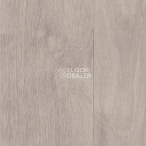 Линолеум Grabo Silver Knight Acoustic 7 1003_384_875_275 фото 1 | FLOORDEALER