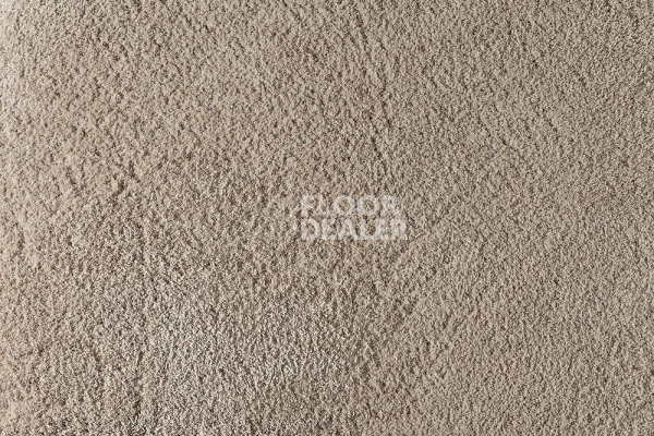Ковролин ITC Silky Lush Silky Lush 032 фото 1 | FLOORDEALER