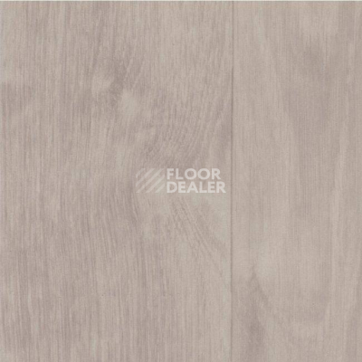 Линолеум Grabo Silver Knight Acoustic 7 1003_384_875_275 фото 1 | FLOORDEALER
