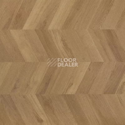 Линолеум Novoflor Extra Mars 2450-2 фото 1 | FLOORDEALER