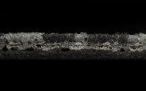 Balsan Matrix Balsan Matrix 960 фото 8 | FLOORDEALER