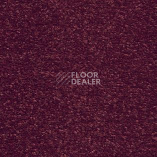 Ковролин AW Aphrodite 11 фото 1 | FLOORDEALER