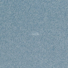 Desso Palatino 8814 фото 1 | FLOORDEALER