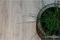 Vinilpol Glue 2мм 7897 EIR ДУБ НЕАПОЛЬ фото 6 | FLOORDEALER