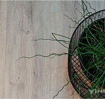 Vinilpol Glue 2мм 7897 EIR ДУБ НЕАПОЛЬ фото 6 | FLOORDEALER