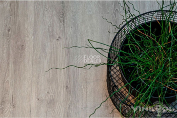 Vinilpol Glue 2мм 7897 EIR ДУБ НЕАПОЛЬ фото 6 | FLOORDEALER