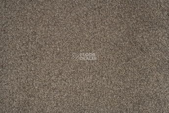 AW Subtlety AW Subtlety  47 фото 2 | FLOORDEALER