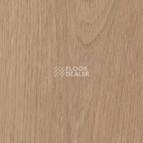 Кварцвиниловые полы AW Invictus Primus Plank Cashmere Oak Sunny фото 1 | FLOORDEALER