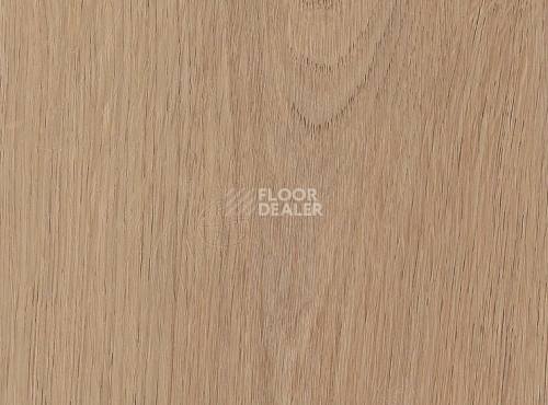 Кварцвиниловые полы Primus Plank Cashmere Oak Sunny фото 1 | FLOORDEALER