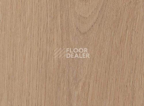 Кварцвиниловые полы AW Invictus Primus Plank Cashmere Oak Sunny фото 1 | FLOORDEALER