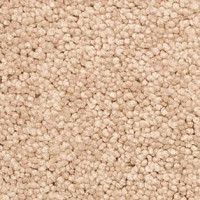 Ковролин AW Vivendi Vigour 34 фото 1 | FLOORDEALER