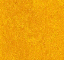 Линолеум Marmorette DLW 2.5mm 121-172 фото 1 | FLOORDEALER