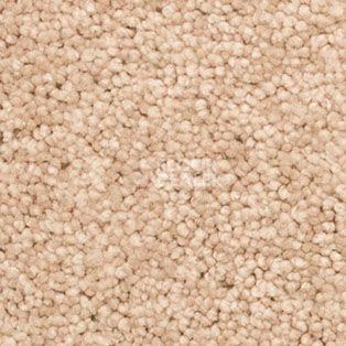 Ковролин AW Vivendi Vigour 34 фото 1 | FLOORDEALER