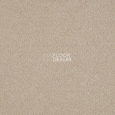 Ковролин Lano Evita 260 фото 1 | FLOORDEALER