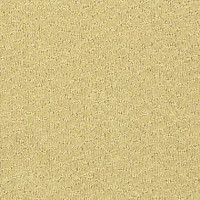 Ковролин Shaw Formation 102 фото 1 | FLOORDEALER