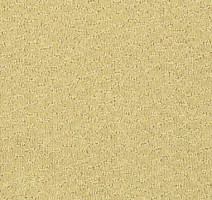 Ковролин Shaw Formation 102 фото 1 | FLOORDEALER