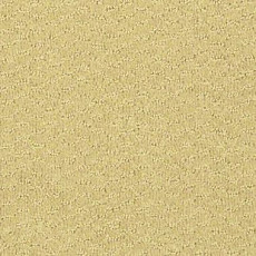 Ковролин Shaw Formation 102 фото 1 | FLOORDEALER