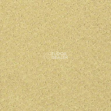 Ковролин Shaw Formation 102 фото 1 | FLOORDEALER