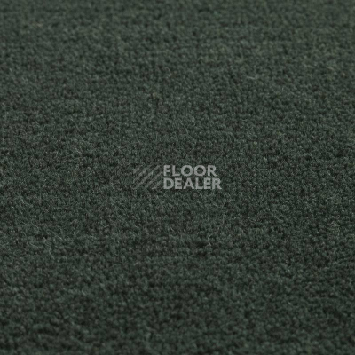 Ковролин Jacaranda Carpets Heavy Velvet Olea фото 1 | FLOORDEALER