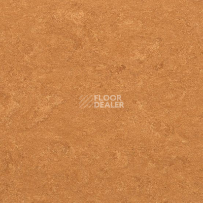 Линолеум Marmorette DLW  2mm 0073 Spicy Orange фото 1 | FLOORDEALER