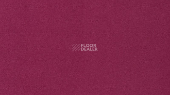 Ковролин Vorwerk Passion 1000/Modena Vorwerk 1m01 фото 1 | FLOORDEALER