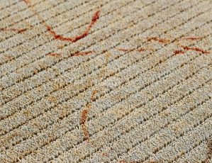 BIG Prestige 364 фото 2 | FLOORDEALER