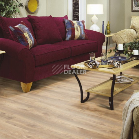 Kronotex Mammut Plus d4794 Дуб Натуральный Макро фото 3 | FLOORDEALER