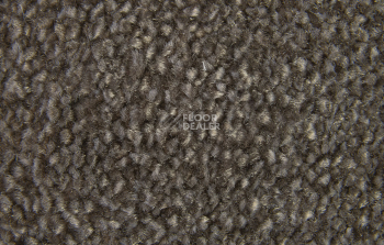 AW Masquerade Moretta 49 фото 3 | FLOORDEALER