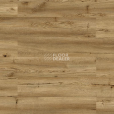 Пробковое покрытие Wood Go LJY6001 Oak Rustic фото 1 | FLOORDEALER