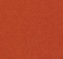 Ковролин Finett Feinwerk 503501 фото 1 | FLOORDEALER