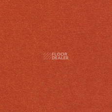 Ковролин Finett Feinwerk 503501 фото 1 | FLOORDEALER