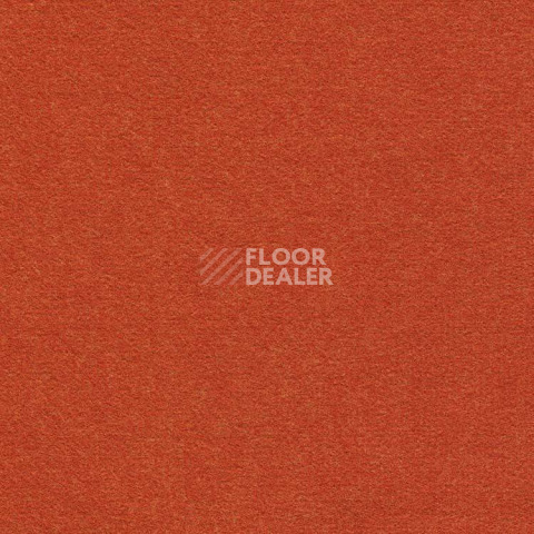 Ковролин Finett Feinwerk 503501 фото 1 | FLOORDEALER