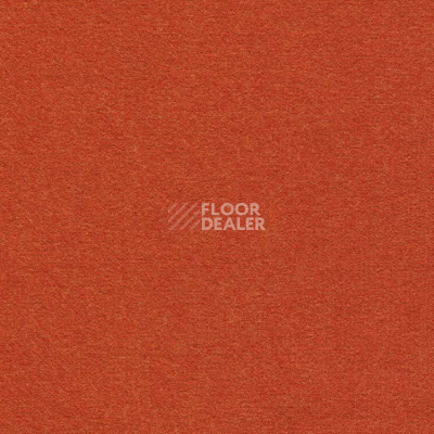 Ковролин Finett Feinwerk 503501 фото 1 | FLOORDEALER