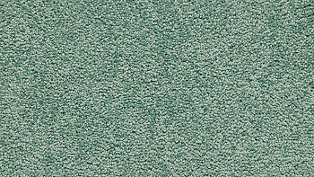 Ковролин Vorwerk Passion 1001 Vorwerk 4f48 фото 1 | FLOORDEALER