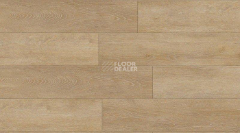 Creation 30 0441_honey_oak фото 1 | FLOORDEALER