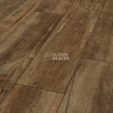 Ламинат Kronotex Exquisit Plus d4783 Дуб Гала Натуральный фото 1 | FLOORDEALER