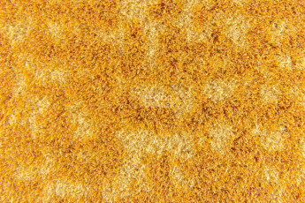 Flotex Colour Metro 5050 t 546036 Metro Gold фото 2 | FLOORDEALER