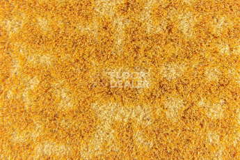 Forbo Flotex Colour Metro 5050 t 546036 Metro Gold фото 2 | FLOORDEALER
