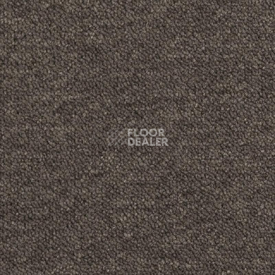 Ковровая плитка DESSO Airmaster Tierra 9092 фото 1 | FLOORDEALER