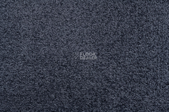 AW Daydream AW Daydream  77 фото 2 | FLOORDEALER