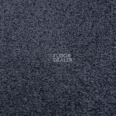 AW Daydream AW Daydream  77 фото 2 | FLOORDEALER