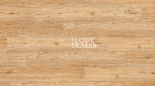 Кварцвиниловые полы Gerflor Creation 55 0347_Ballerina фото 1 | FLOORDEALER